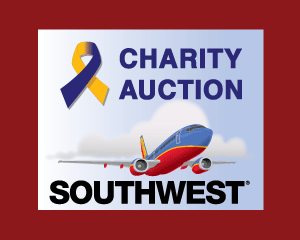 Auction for Round Trip Airline Tickets Ends Dec. 11