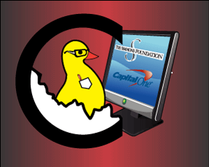 HATCH Youth To Steer Online Outreach, New Web Design