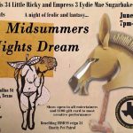 ERSICSS: A Midsummer Night's Dream